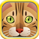 BengalMoji - Bengal Cat Emoji APK