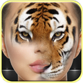 Wildlife photo editor