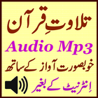 Mp3 Audio Quran Tilawat icône