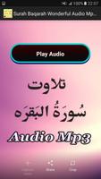 Surah Baqarah Wonderful Audio تصوير الشاشة 1