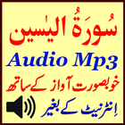 Surah Yaseen Voice Audio Mp3 icône