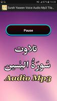 Surah Yaseen Voice Audio Mp3 скриншот 2