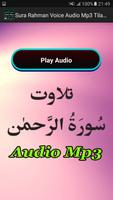 Sura Rahman Voice Audio Mp3 screenshot 1