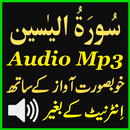 Surat Yaseen Mp3 Audio App APK