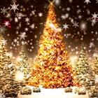آیکون‌ Christmas Tree LWP - MobSol