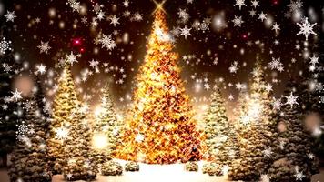 برنامه‌نما Christmas Tree LWP - MobSol عکس از صفحه