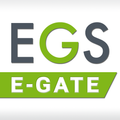 E-services
