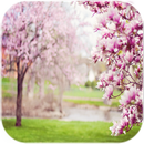 Spring Live Wallpaper APK