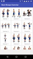 Best Biceps Exercises Affiche