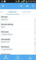 3 Schermata Albanian Dictionary