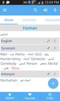 Persian Dictionary imagem de tela 2