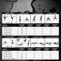 Insanity Tracker