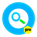 Pro Torrent Searcher