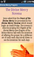 Divine Mercy Prayers 스크린샷 3