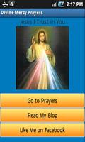 Divine Mercy Prayers Poster