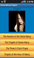 Divine Mercy Prayers captura de pantalla 1