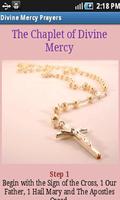 Divine Mercy Prayers imagem de tela 2