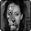 InstaFace Changer (Morphing) APK