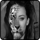 InstaFace Changer (Morphing) 图标