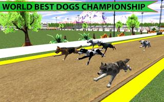 Real Dog Racing Championship capture d'écran 2