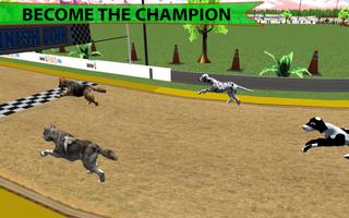 Real Dog Racing Championship captura de pantalla 3