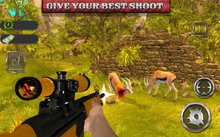 Animal Hunting Games: Fps Shooter Poster
