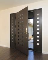Thiết kế cửa hiện đại Entry ảnh chụp màn hình 2