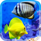 Colorful Fishes Live Wallpaper आइकन