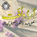 Urdu Lughat Offline - Offline Urdu Dictionary APK