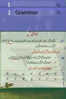 Urdu Lughat capture d'écran 1