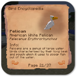 Exotic Birds Mods