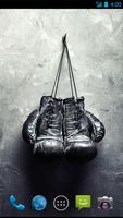 Boxing Wallpapers اسکرین شاٹ 3