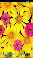 Flower  Wallpapers скриншот 3