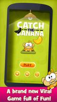 Catch the Banana - Rope Magic Monkey Full capture d'écran 3