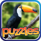 Bird Puzzles icône