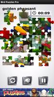 Bird Puzzles Affiche