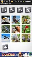 Bird Puzzles syot layar 2