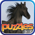 FREE Horse Puzzles