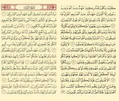 The Noble Quran - Islam ภาพหน้าจอ 3