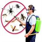التخلص من البعوض والناموس والحشرات نهائياً ikon
