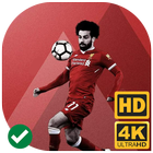 Mohamed Salah Wallpapers HD 4K icône