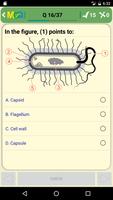 MCQ Basic Microbiology скриншот 1