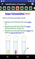 Microbiology EduCards スクリーンショット 3