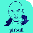 pitbull mp3 2017