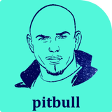 pitbull mp3 2017 icône