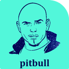 pitbull mp3 2017 아이콘