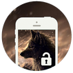 Brown Wolf Screen Lock NEW