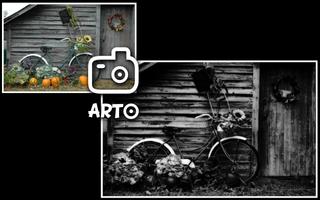 Arto.lite: black & white photo ภาพหน้าจอ 2