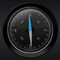 Mojo Compass Pro