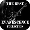 The Best of Evanescence Collection